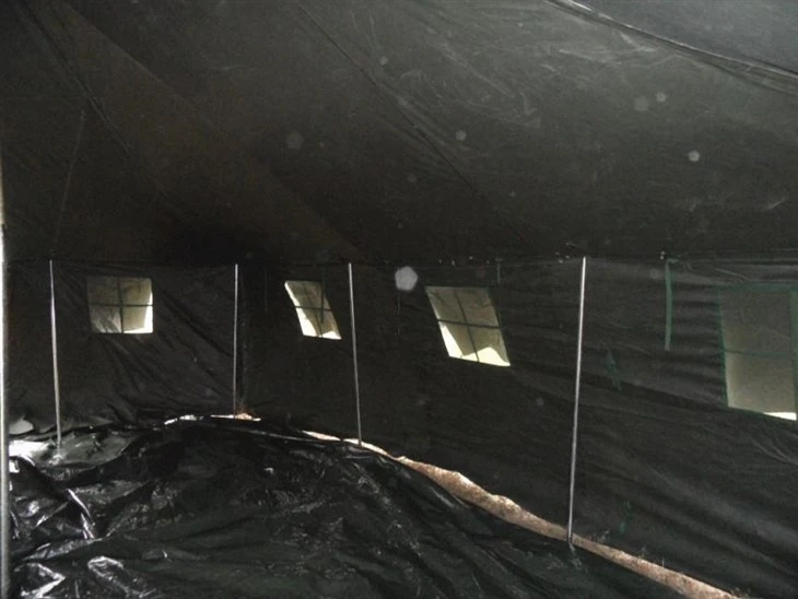 image009(001) image009(001)